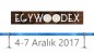 egywoodex-1-300x174